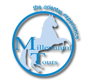 Millennium Tours